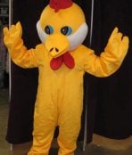 chicken yellow 2