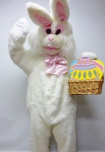 Rabbit costume