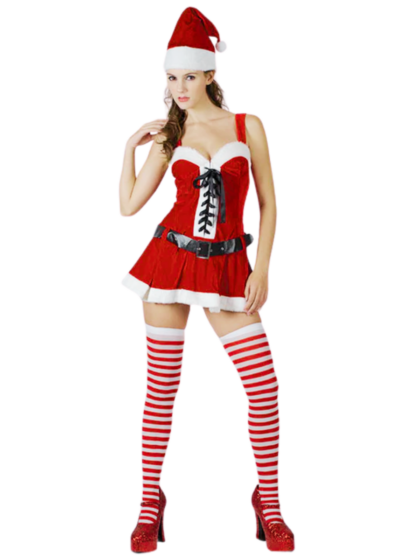 Miss Santa Costume