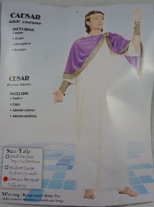 caesar adult costume