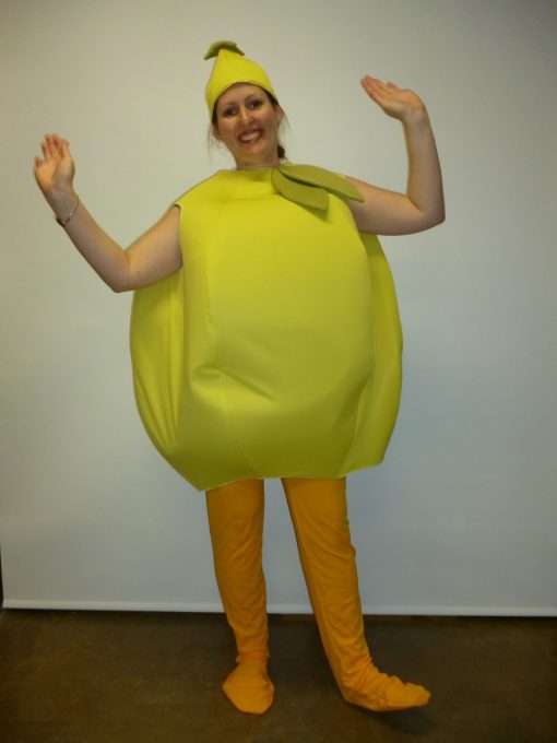 Food fruit novelty costume