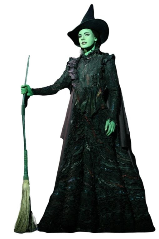 Elphaba witch costume