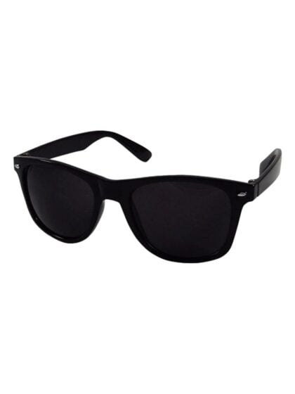 Blues Brothers Wayfarer Sunglasses