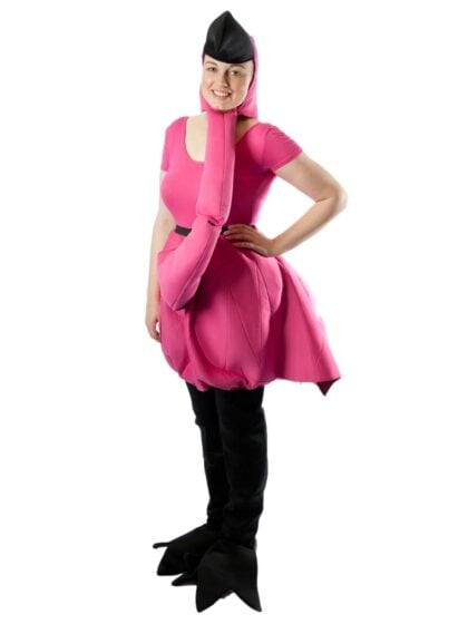 Flamingo Costume