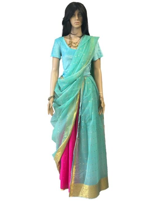 Traditional Indian Sari Costume