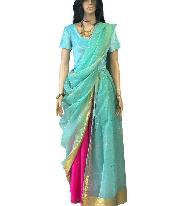 Traditional Indian Sari Costume – Adults