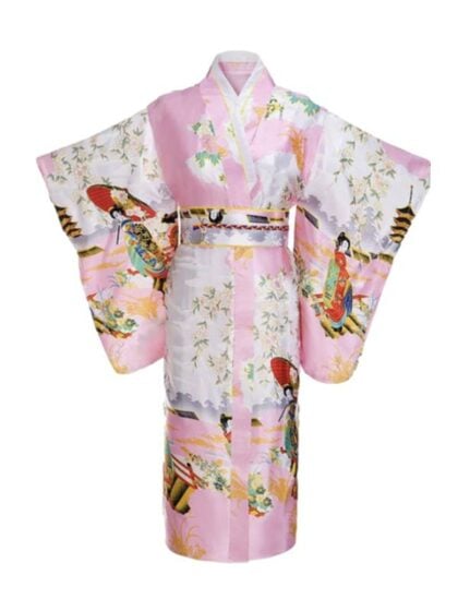 Japanese Kimono costume