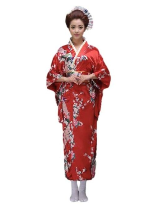 japanese Kimono costume