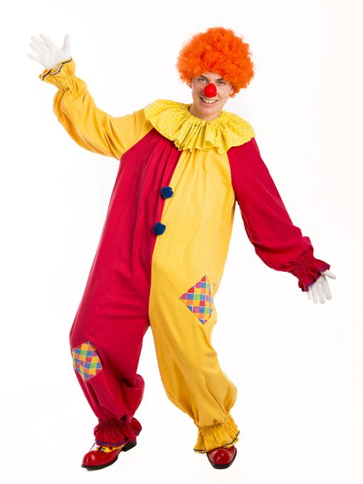 Male Clown costume