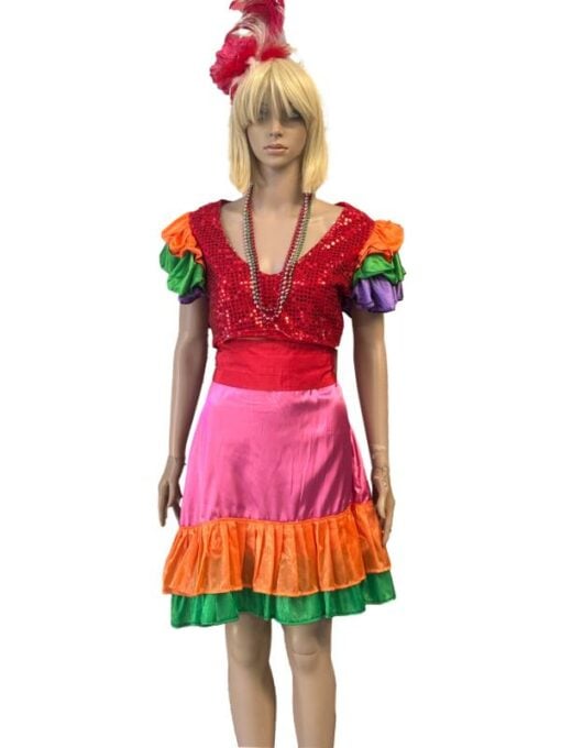 Rio Carnival Costume