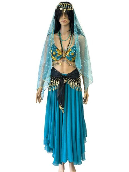 Arabian Nights Blue Harem Costume