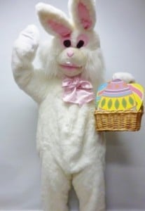 Easter Rabbit costume