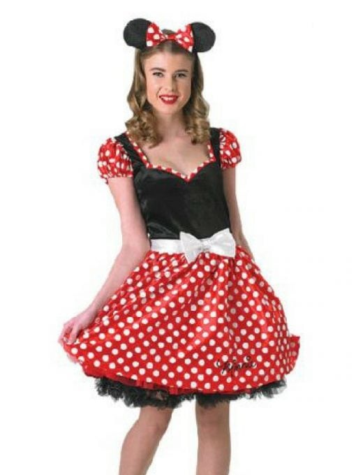 Minnie mouse costume