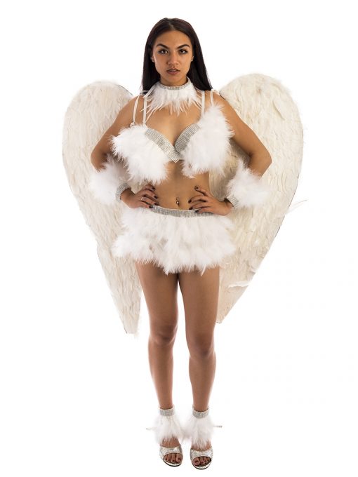 Victorias Secret Angel Costume, Angel, Feather, Burlesque, angle, victoria