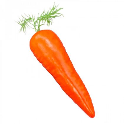 Fake Carrot