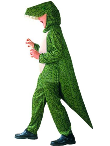 Kids T-Rex Dinosaur Costume