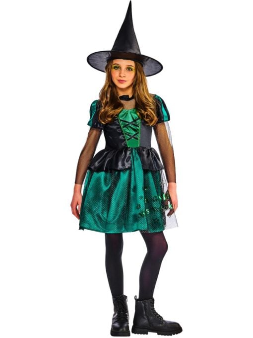 official Wizard of Oz Wicked Witch costume with black and green dress and pointed witch hat.