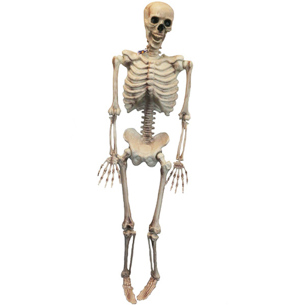 Details about   Halloween Decoration Prop 2 Hanging Skeleton  New 