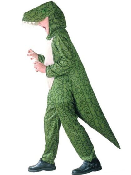 Kids T-Rex Dinosaur Costume