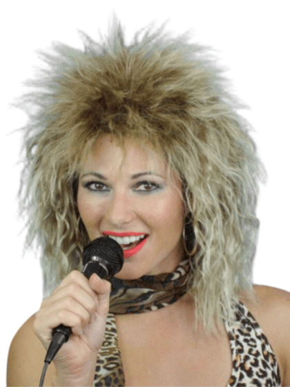 Tina Turner Wig