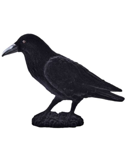 Black Crow Decoration