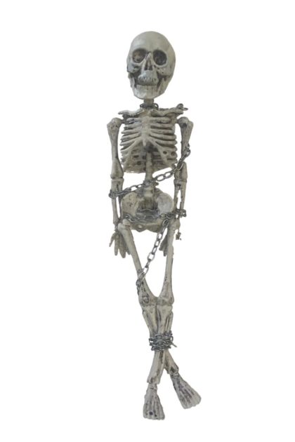 Small hanging skeleton halloween prop