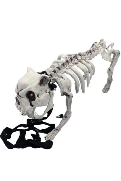 Skeleton Dog halloween prop