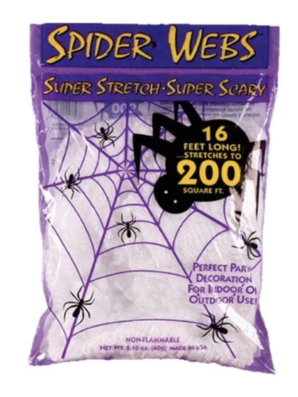 Fake Spider web