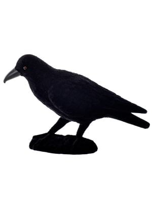 black velvet crow