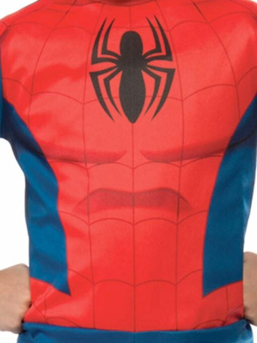 Amazing Spiderman Costume