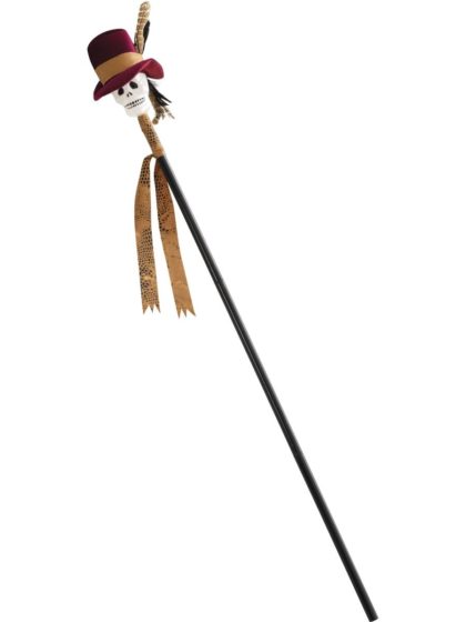 witch doctor cane