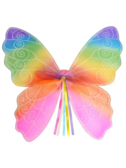Rainbow fairy wings child