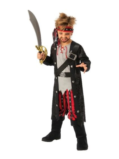 Swashbuckling Pirate boy costume