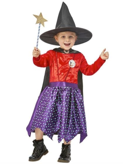 Room on a Broom Costume