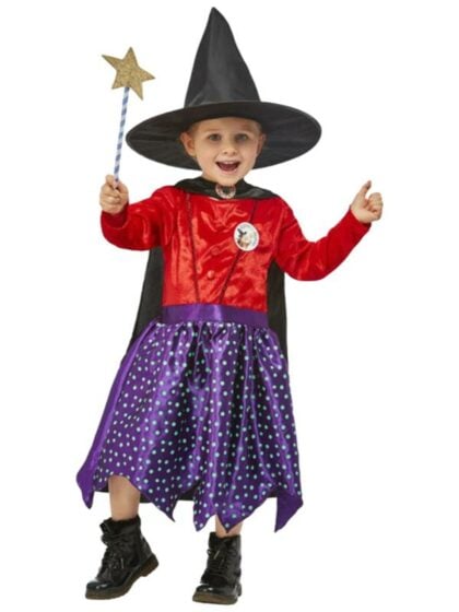 Room on a Broom Costume