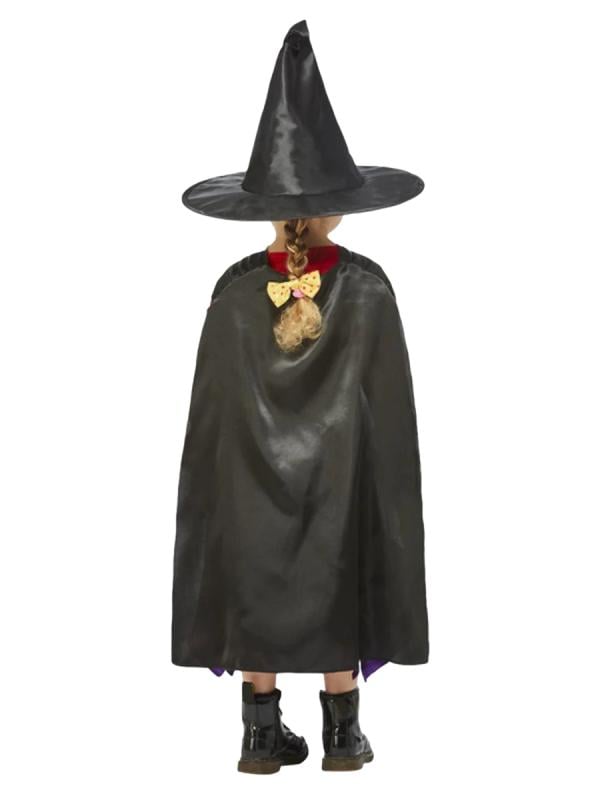 Room on a Broom Costume!