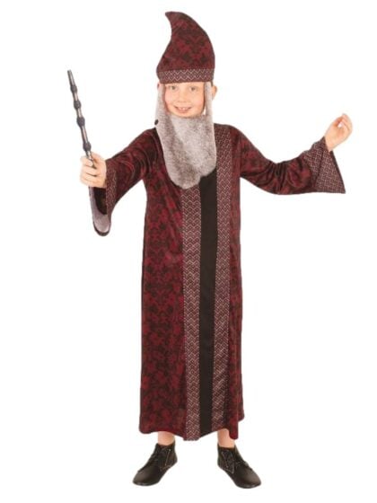 Child wizard costume