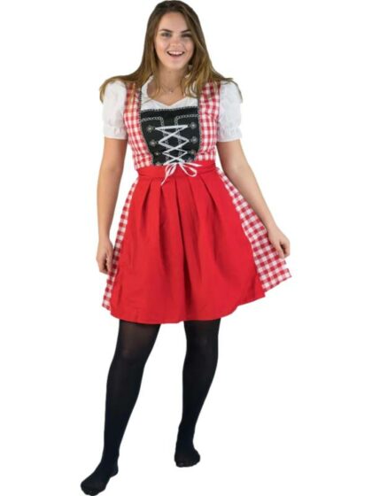 Traditional Red German Dirndl Costume
