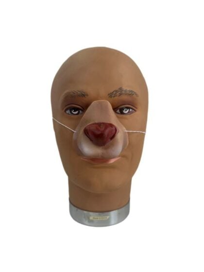 Deer nose