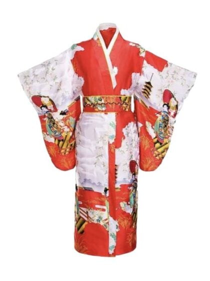 japanese Geisha costume