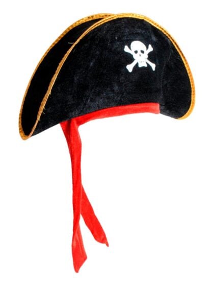 Pirate Hat with Skull