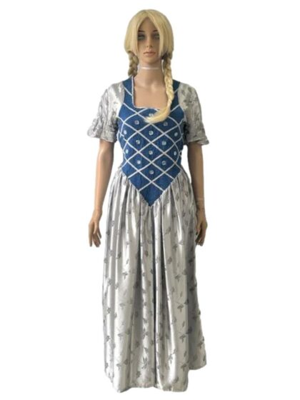 Medieval Maiden Costume
