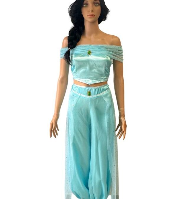 Princess Jasmine Costume – Adults