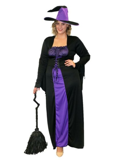 Bewitched Witch Costume
