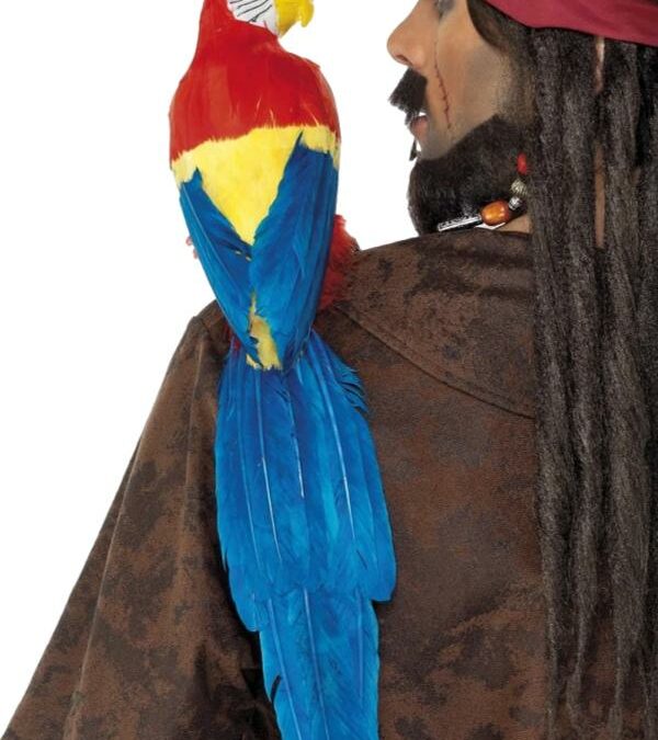 Pirate Parrot Pal