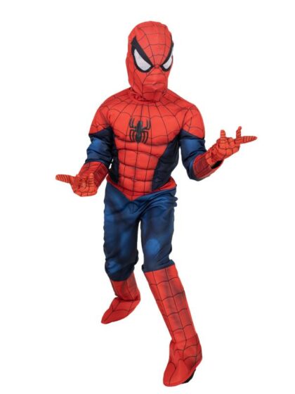 Spider-Man Premium Child Costume.