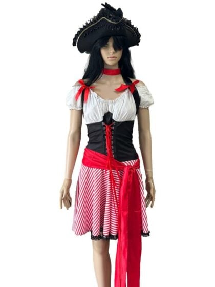 Pirate Wench Plus Costume