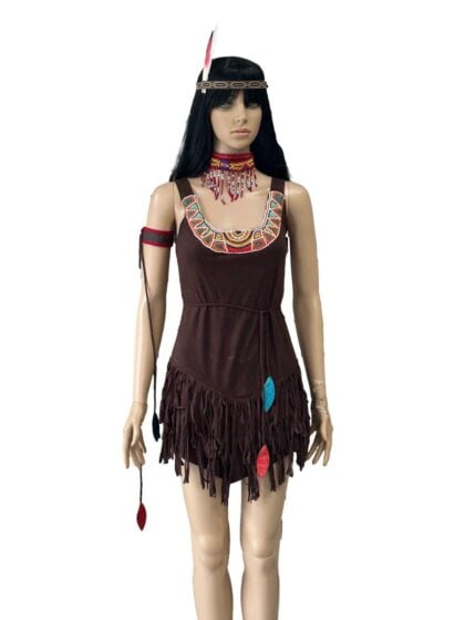 Native Indian Lady Costume