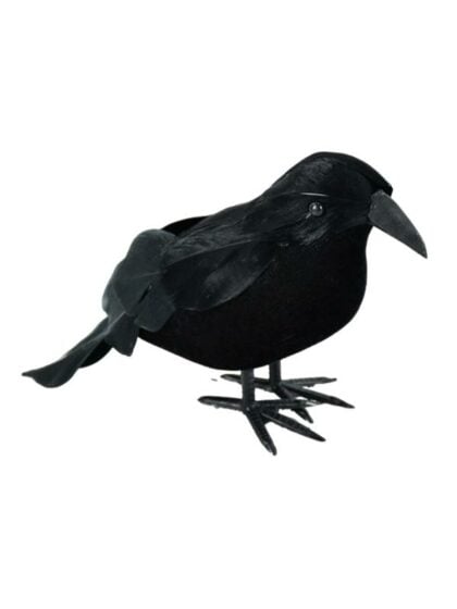 black crow decoration