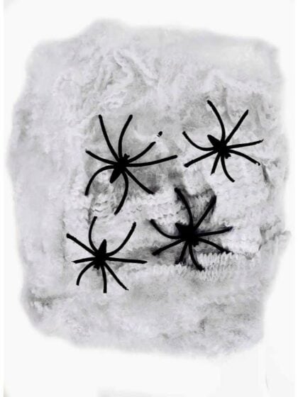 Grey Spiderwebs with spiders